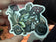 Archie Tinkerblast Sticker
